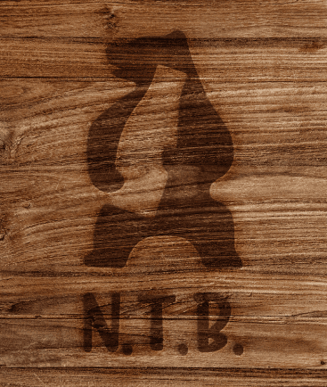 ntb-1